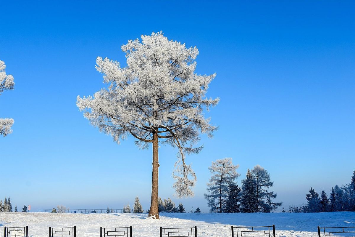 Фоторабота Сергея Петровича Килина